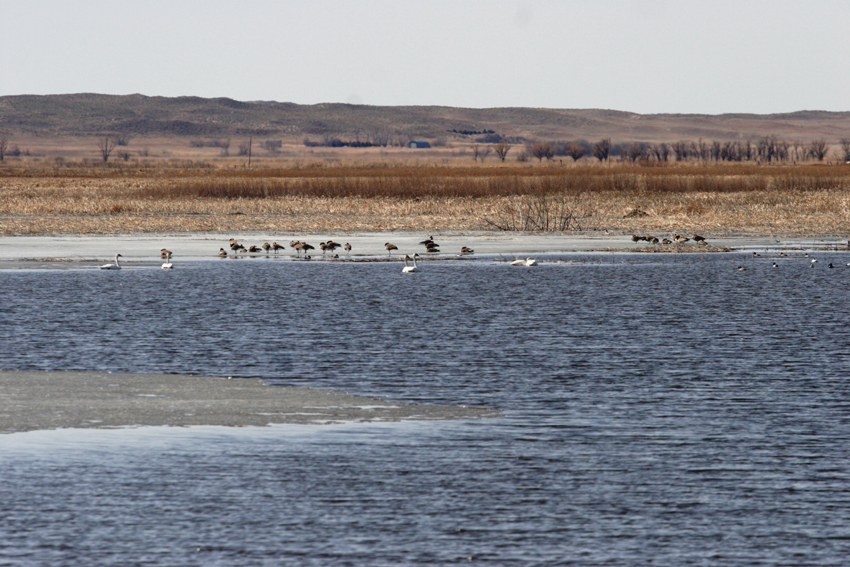 LaCreek National Wildlife Refuge - Southwestern Pools