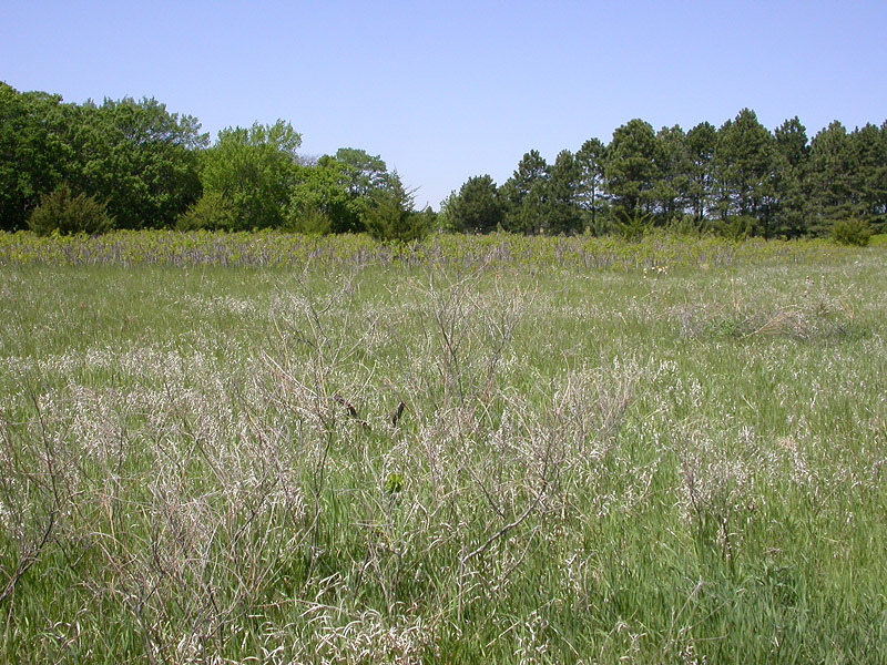 Newton Hills State Park Western Edge