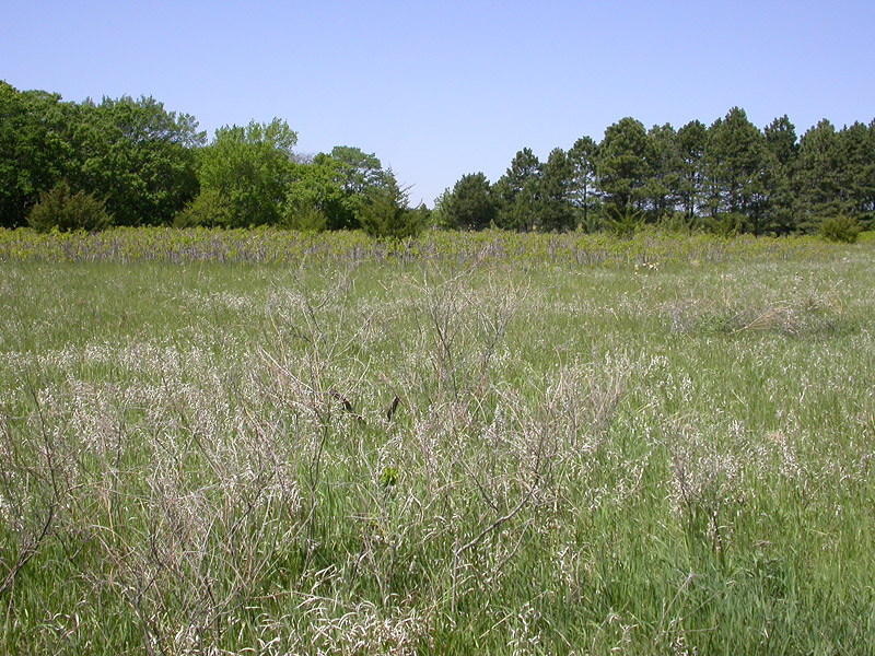 Newton Hills State Park - South Dakota Birding "Hotspot"