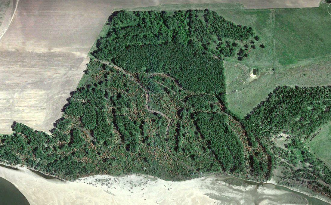 North Alabama Bend - Dense Western Forest