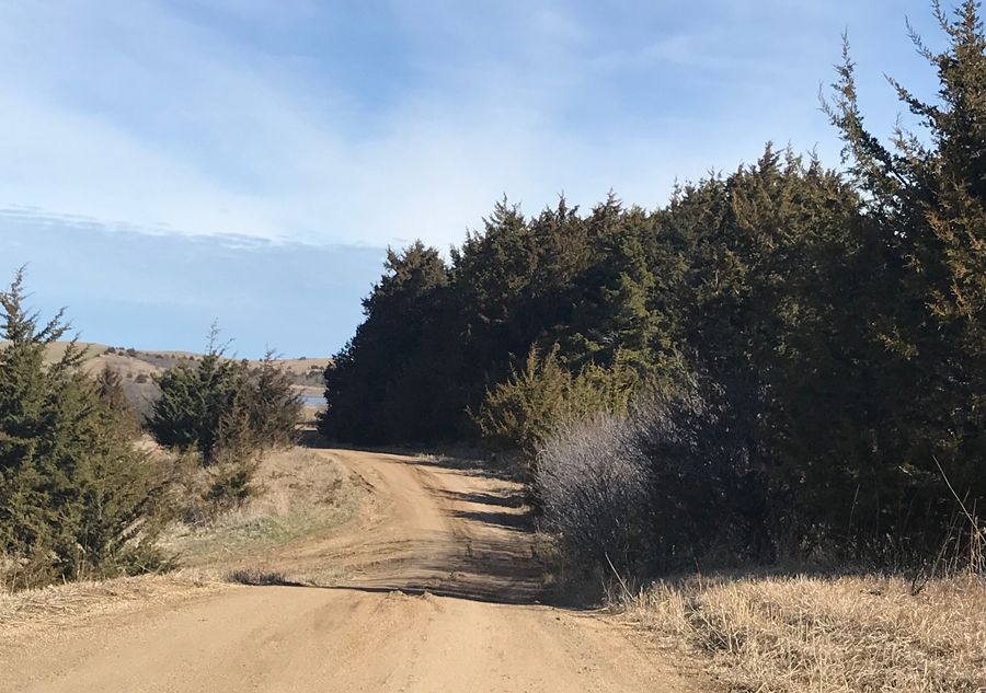 Lake Vermillion Inlet - South Dakota Birding Hotspot
