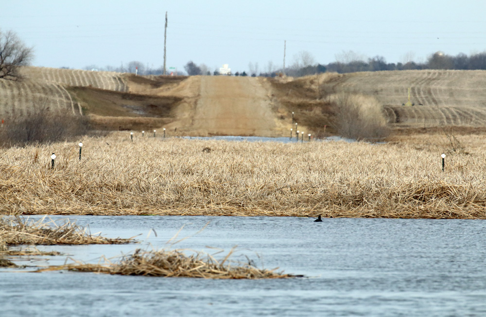Weisensee Slough - Flooded Conditions
