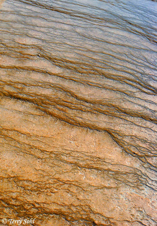 Bacterial Mat - Yellowstone