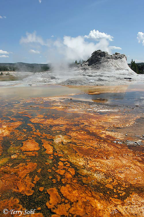 Castle Geyser, Yellowstone Photo Photograph Picture