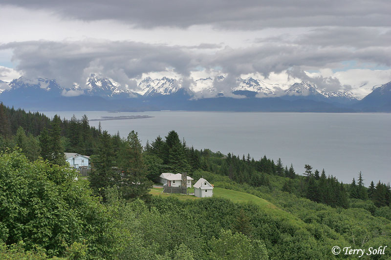 Homer, Alaska Photo Photograph Picture
