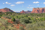Sedona Landscape #1