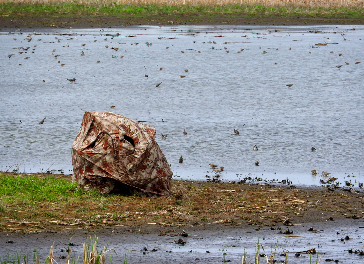 Chair Blind - For birding photography