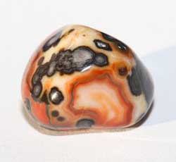 Bubblegum Agate 11 - South Dakota Rockhound
