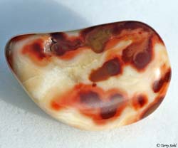 "Red Pox" - Bubblegum Agate
