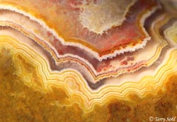 Fairburn Agate - "Cyclops" - South Dakota Rockhound