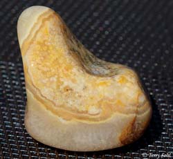 Fairburn Agate - "Easy Chair"