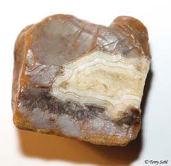 White Fairburn Agate