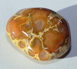 Misc Agate - South Dakota Rockhound