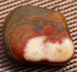 Misc. Agate - South Dakota Rockhound