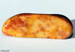 South Dakota Agate/Jasper - South Dakota Rockhound