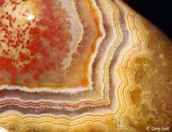 Agate Macro 2 - South Dakota Rockhound