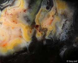 Agate Macro 4 - South Dakota Rockhound