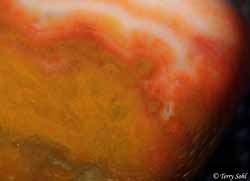 Agate Macro 6 - South Dakota Rockhound