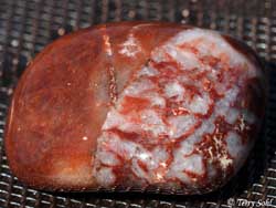 South Dakota Agate - "Halfblood"