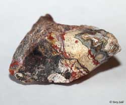 Mexican Crazy Lace agate 11 - South Dakota Rockhound