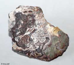 Mexican Crazy Lace agate 12 - South Dakota Rockhound