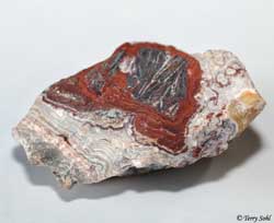 Mexican Crazy Lace agate 14 - South Dakota Rockhound