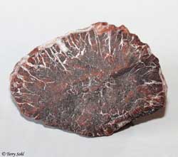 Mexican Crazy Lace agate 15 - South Dakota Rockhound