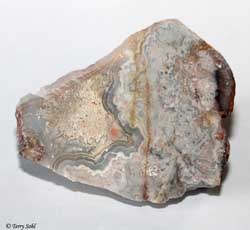 Mexican Crazy Lace agate 16 - South Dakota Rockhound