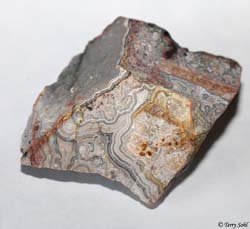 Mexican Crazy Lace agate 17 - South Dakota Rockhound