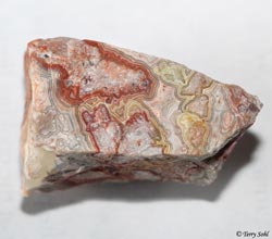 Mexican Crazy Lace agate 21 - South Dakota Rockhound