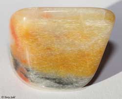 Petrified Wood - South Dakota Rockhound