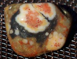 Prairie Agate - "Fried Egg Sandwich"