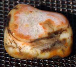 Prairie Agate - "The Mutt"