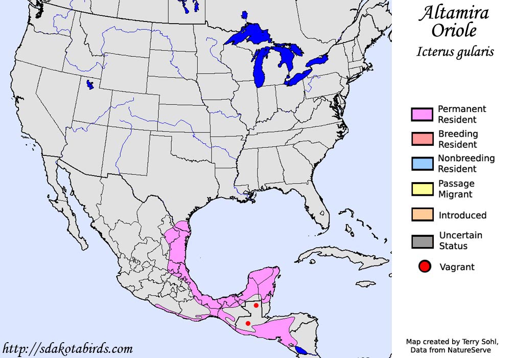 Altamira Oriole - North American Range Map