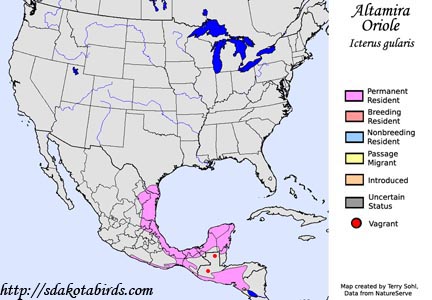 Altamira Oriole - Range Map