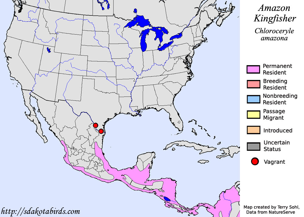 Amazon Kingfisher - North American Range Map