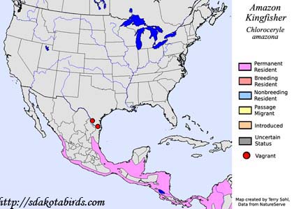 Range map for Amazon Kingfisher