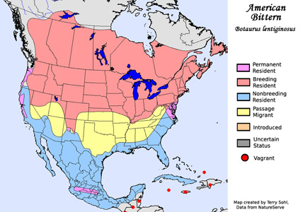 American Bittern - Range Map