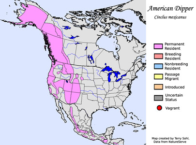 American Dipper - Range Map