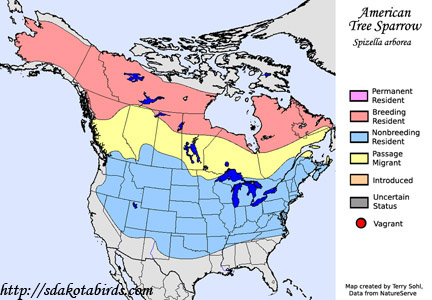 American Tree Sparrow - Range map