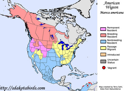 Range Map - American Wigeon