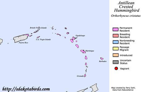 Range map for the Antillean Crested Hummingbird