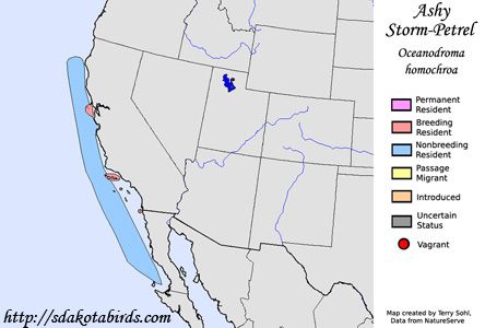 Ashy Storm-Petrel - Range Map