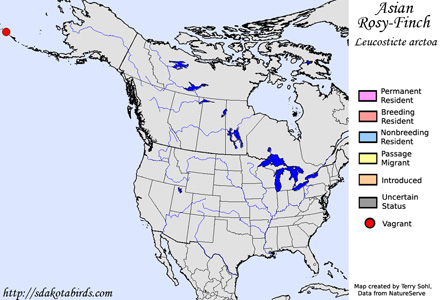 Asian Rosy-Finch - Range Map