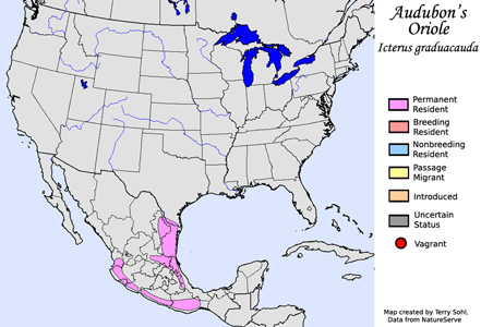 Audubon's Oriole - Range Map