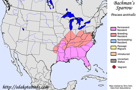 Bachman's Sparrow - Range Map