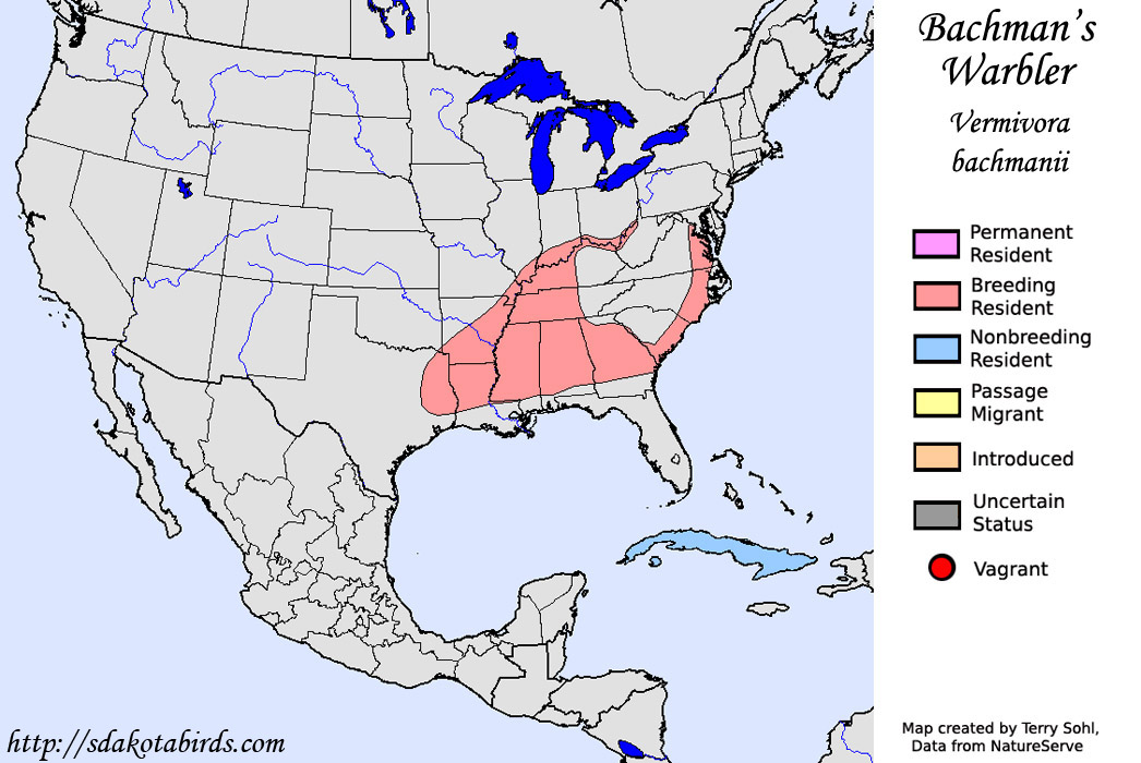 Bachman's Warbler - North American Range map