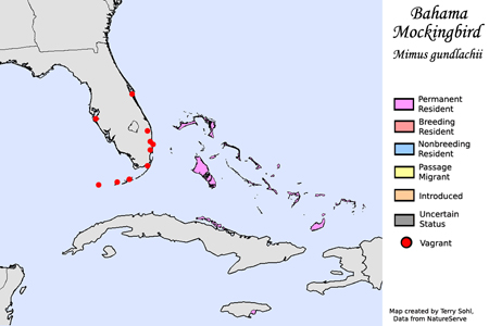 Bahama Mockingbird - Range Map