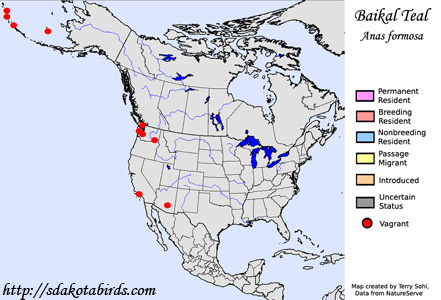 Baikal teal - Range Map