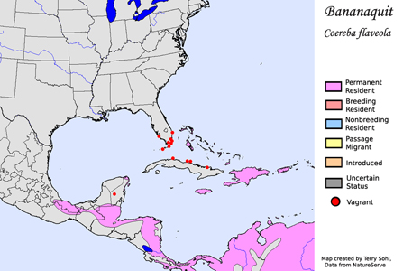 Bananaquit range map